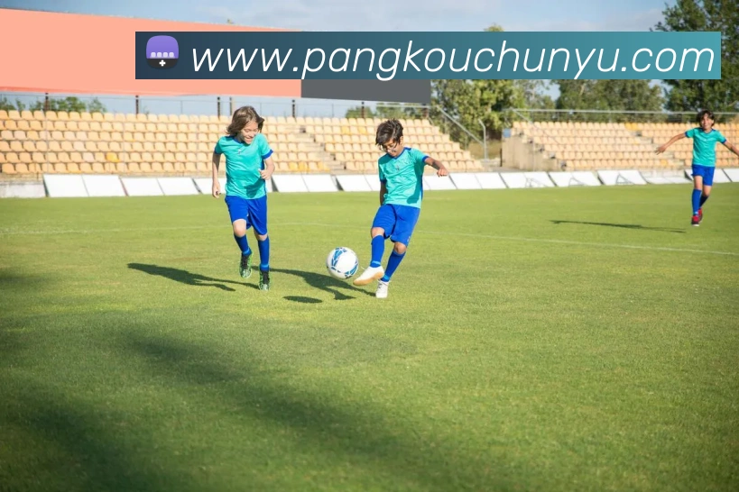 App Interface Preview